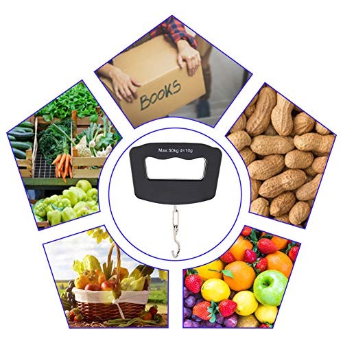50kg Portable Handheld Digital - Fishing Hook Stainless Steel recension och pris